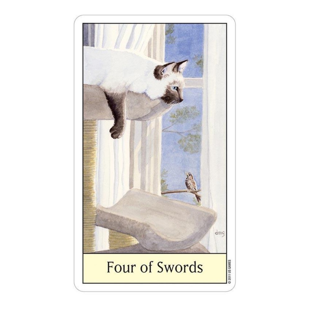 Tarot Deck With Guidebook - Tarot Kocie Oko 12x7 cm Gry