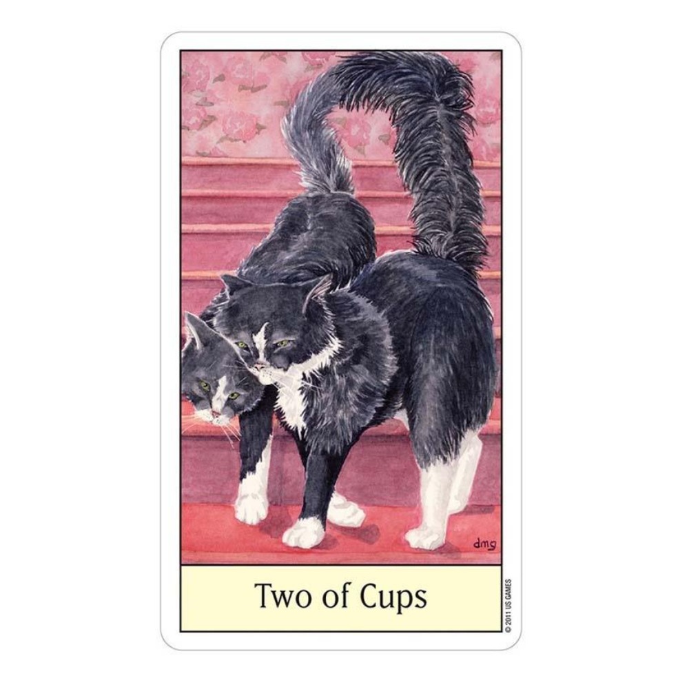 Tarot Kocie Oko 12x7 cm Gry ka – Tarot Deck With Guidebook recenzja i cena