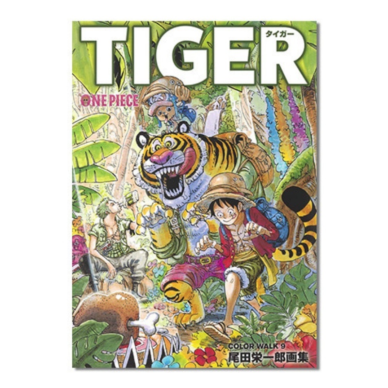 One Piece Illustration Book Co – Stationery Books recenzja i cena