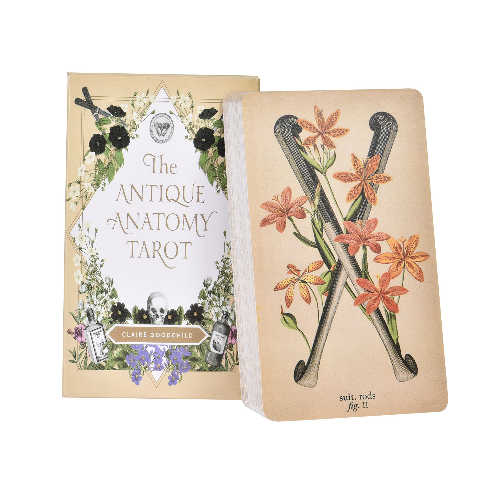 Karty Tarota „Antyczna Anatomi – Tarot Deck With Guidebook recenzja i cena